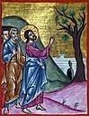Jesus Curses the Fig Tree high resolution images