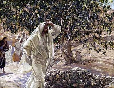 Accursed Fig Tree by James Tissot, High Resolution